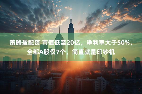 策略盈配资 市值低至20亿，净利率大于50%，全部A股仅7个，简直就是印钞机