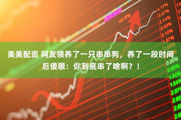 美美配资 网友领养了一只串串狗，养了一段时间后傻眼：你到底串了啥啊？！