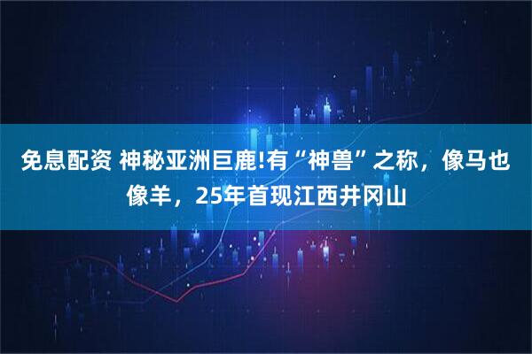 免息配资 神秘亚洲巨鹿!有“神兽”之称，像马也像羊，25年首现江西井冈山