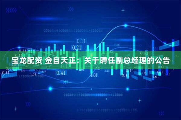宝龙配资 金自天正：关于聘任副总经理的公告